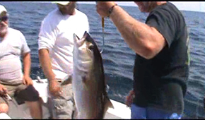 Capt. Al Offshore Fishing Part 1